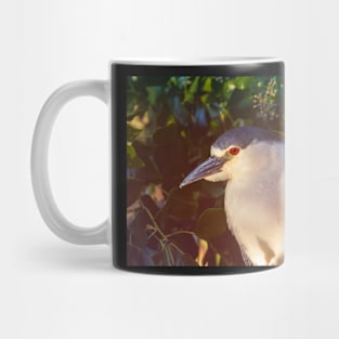 Red-eyed Mug